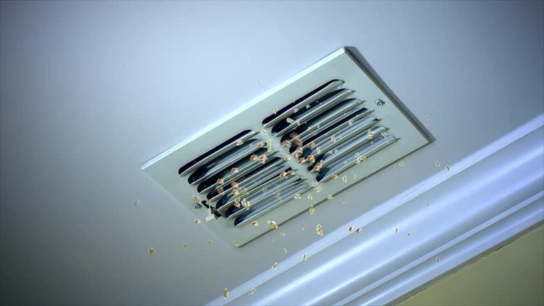 Best Air Vent Cleaning Services  in Amerin Nyon, CA